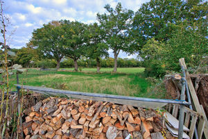 Photo 15- click for photo gallery